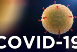 ОНЛАЙН ПОДАЧА ДОКУМЕНТОВ!